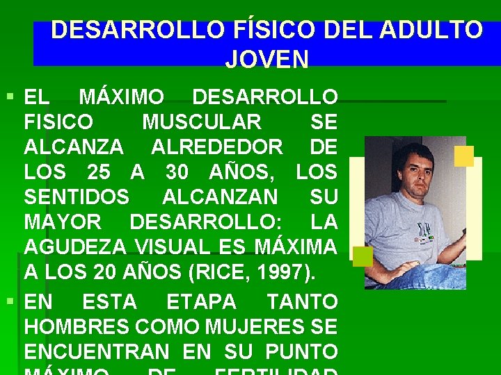 DESARROLLO FÍSICO DEL ADULTO JOVEN § EL MÁXIMO DESARROLLO FISICO MUSCULAR SE ALCANZA ALREDEDOR