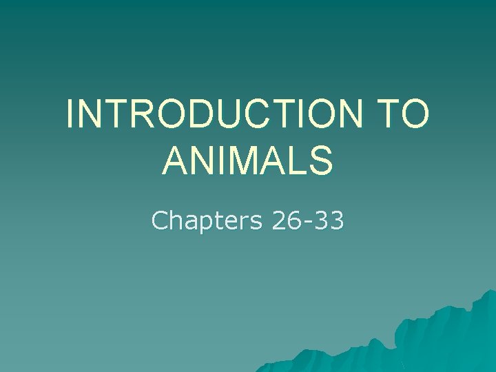 INTRODUCTION TO ANIMALS Chapters 26 -33 