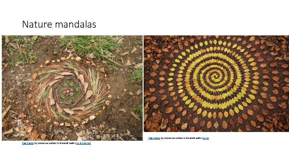 Nature mandalas This Photo by Unknown Author is licensed under CC BY-NC-ND 