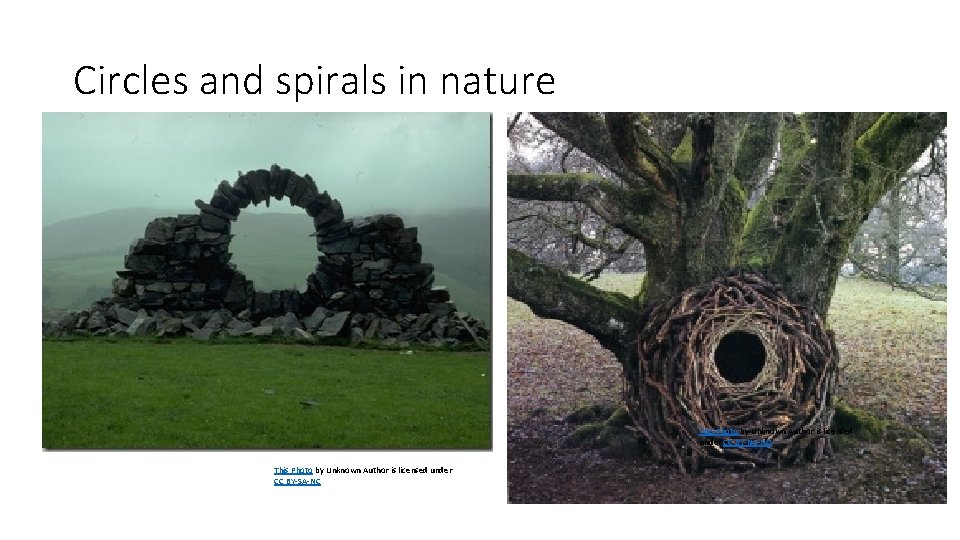 Circles and spirals in nature This Photo by Unknown Author is licensed under CC