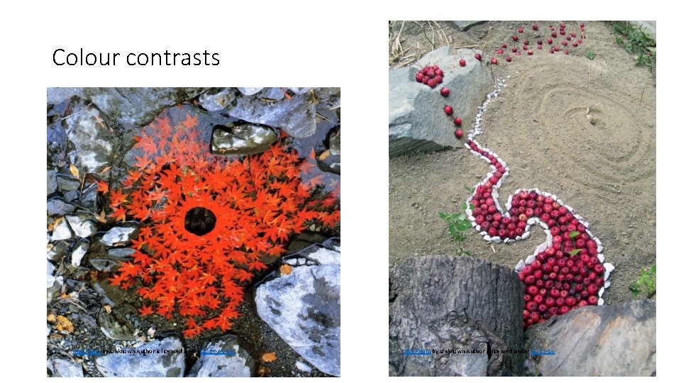 Colour contrasts This Photo by Unknown Author is licensed under CC BY-NC-ND This Photo