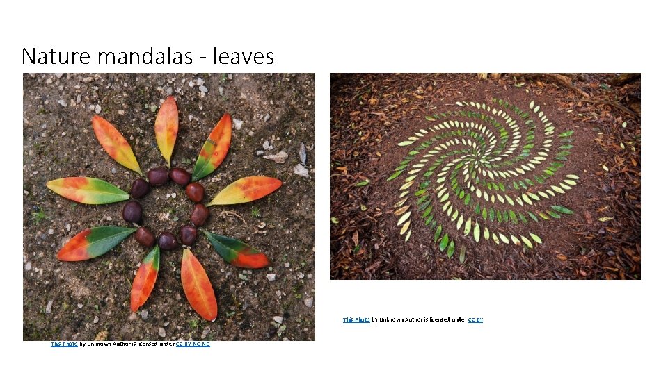 Nature mandalas - leaves This Photo by Unknown Author is licensed under CC BY-NC-ND