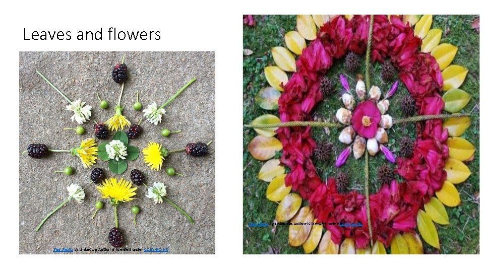 Leaves and flowers This Photo by Unknown Author is licensed under CC BY-SA-NC This