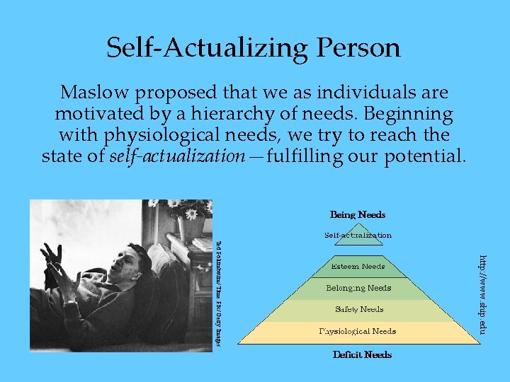 Self-Actualizing Person Maslow proposed that we as individuals are motivated by a hierarchy of Self-Actualizing Person Maslow proposed that we as individuals are motivated by a hierarchy of