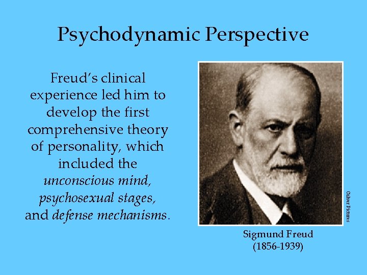 Psychodynamic Perspective Culver Pictures Freud’s clinical experience led him to develop the first comprehensive Psychodynamic Perspective Culver Pictures Freud’s clinical experience led him to develop the first comprehensive