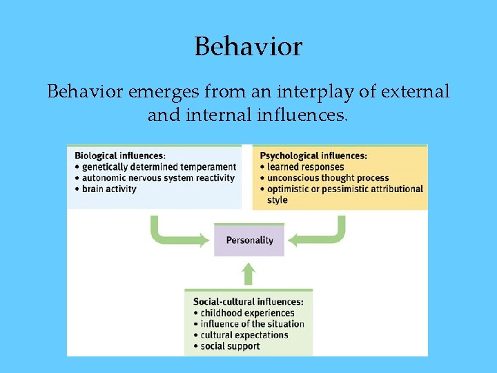 Behavior emerges from an interplay of external and internal influences. Behavior emerges from an interplay of external and internal influences.