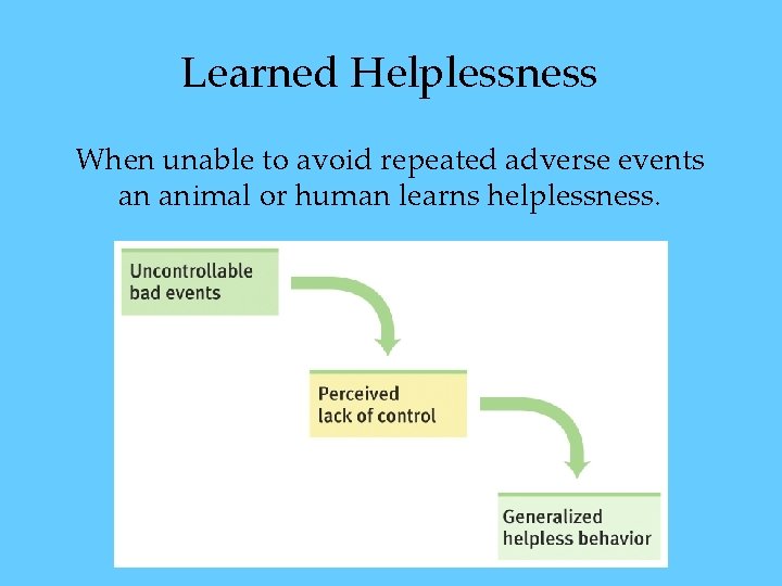Learned Helplessness When unable to avoid repeated adverse events an animal or human learns Learned Helplessness When unable to avoid repeated adverse events an animal or human learns