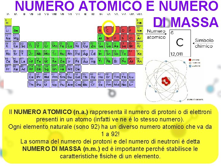 NUMERO ATOMICO E NUMERO DI MASSA Il NUMERO ATOMICO (n. a. ) rappresenta il