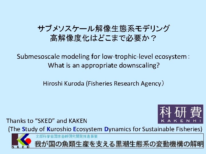 サブメソスケール解像生態系モデリング 高解像度化はどこまで必要か？ Submesoscale modeling for low-trophic-level ecosystem： What is an appropriate downscaling? Hiroshi Kuroda