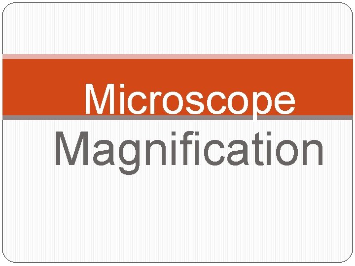Microscope Magnification 
