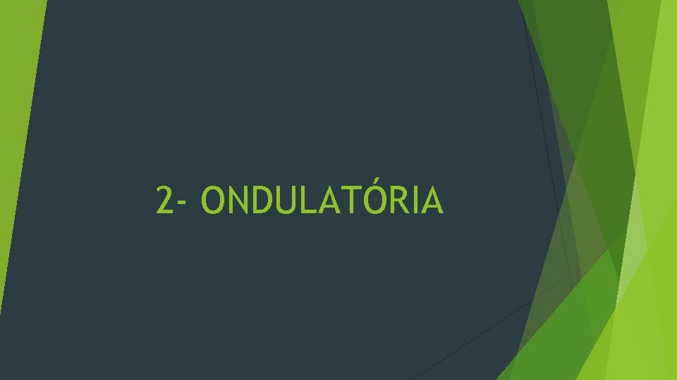 2 - ONDULATÓRIA 2 - ONDULATÓRIA