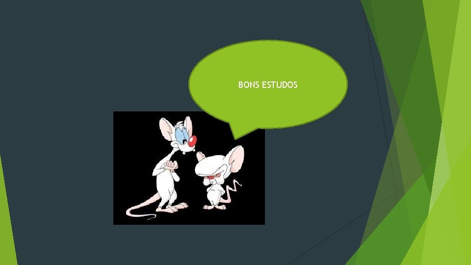 BONS ESTUDOS BONS ESTUDOS