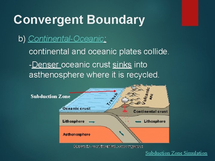 Convergent Boundary b) Continental-Oceanic: continental and oceanic plates collide. -Denser oceanic crust sinks into