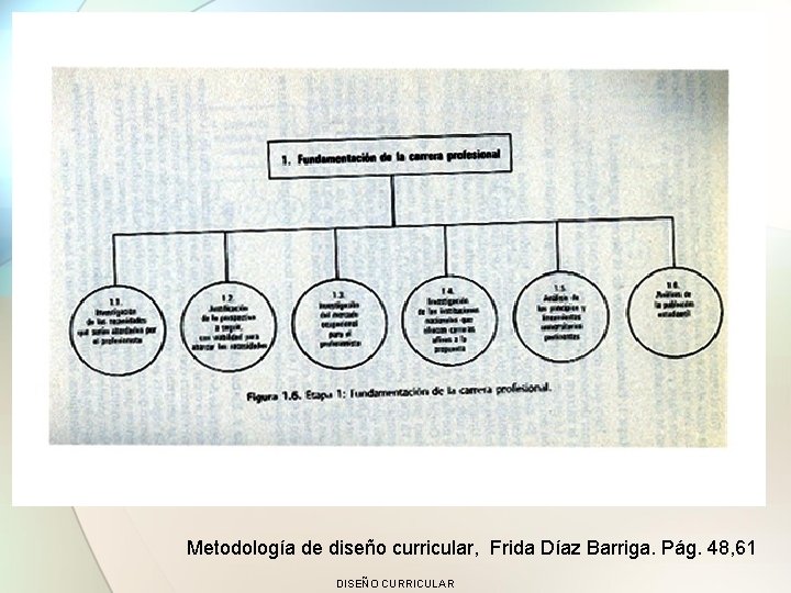 Metodología de diseño curricular, Frida Díaz Barriga. Pág. 48, 61 DISEÑO CURRICULAR 