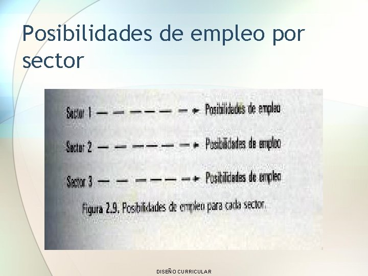 Posibilidades de empleo por sector DISEÑO CURRICULAR 