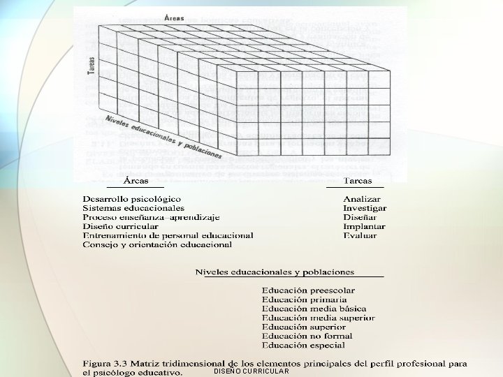 DISEÑO CURRICULAR 