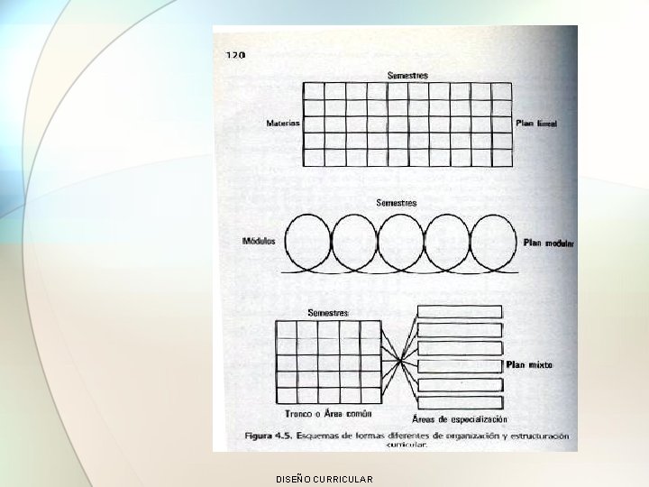 DISEÑO CURRICULAR 