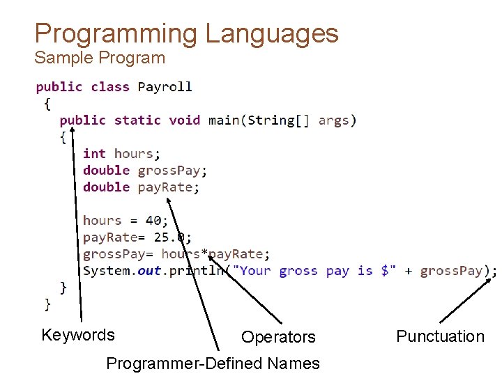 Programming Languages Sample Program Keywords Operators Programmer-Defined Names Punctuation 