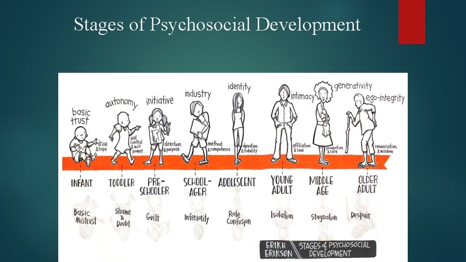 Stages of Psychosocial Development 