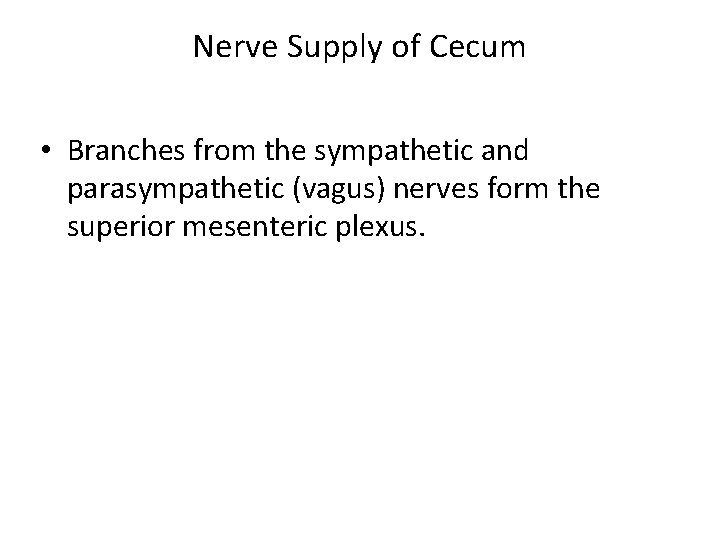 Nerve Supply of Cecum • Branches from the sympathetic and parasympathetic (vagus) nerves form
