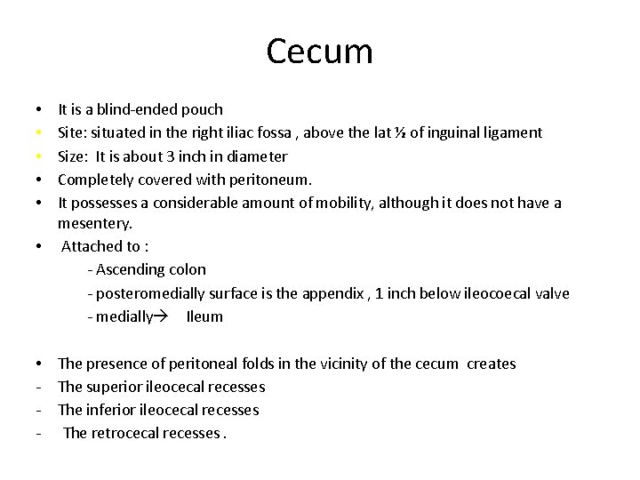 Cecum It is a blind-ended pouch Site: situated in the right iliac fossa ,