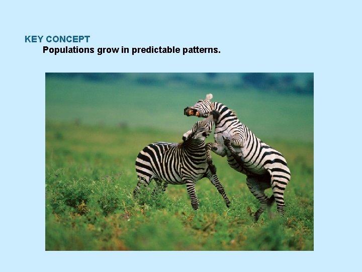 KEY CONCEPT Populations grow in predictable patterns. 