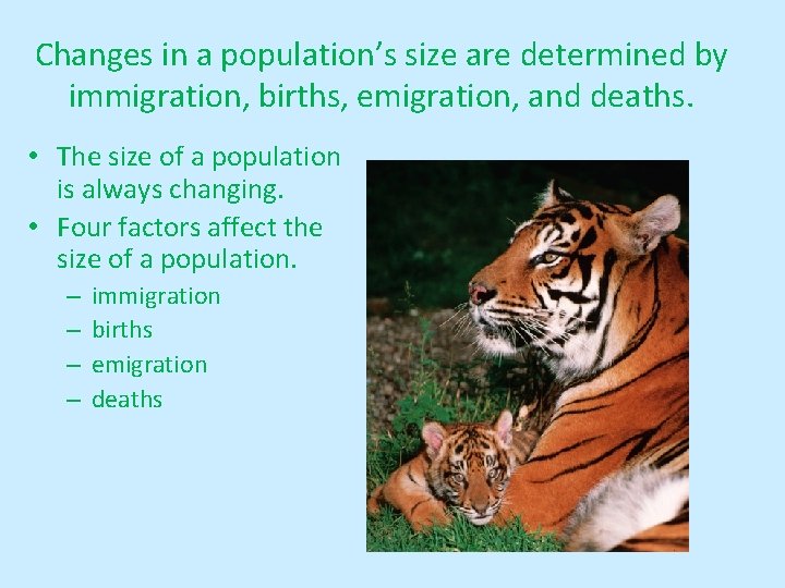 Changes in a population’s size are determined by immigration, births, emigration, and deaths. •