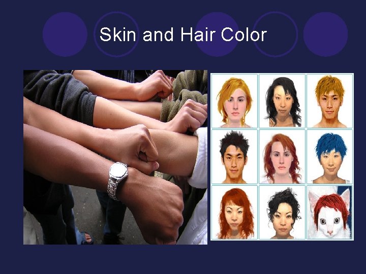 Skin and Hair Color 