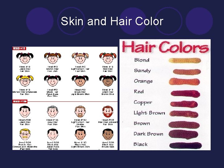 Skin and Hair Color 