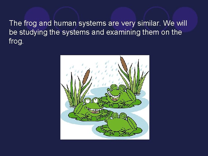 The frog and human systems are very similar. We will be studying the systems