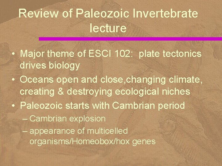 Review of Paleozoic Invertebrate lecture • Major theme of ESCI 102: plate tectonics drives