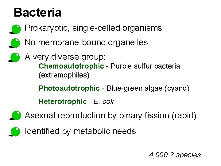 Bacteria Prokaryotic, single-celled organisms No membrane-bound organelles A very diverse group: Chemoautotrophic - Purple