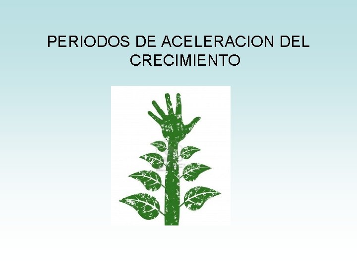 PERIODOS DE ACELERACION DEL CRECIMIENTO PERIODOS DE ACELERACION DEL CRECIMIENTO