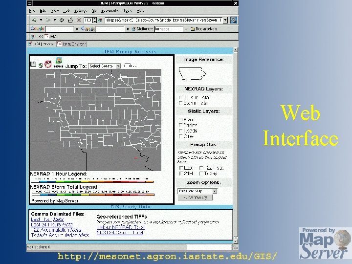 Web Interface 
