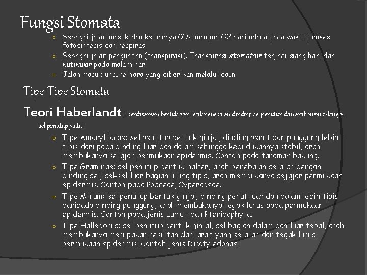 Fungsi Stomata Sebagai jalan masuk dan keluarnya CO 2 maupun O 2 dari udara
