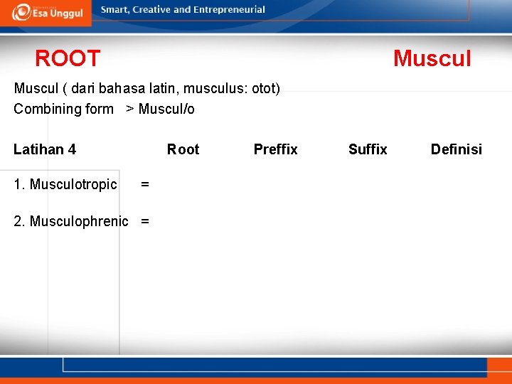 ROOT Muscul ( dari bahasa latin, musculus: otot) Combining form > Muscul/o Latihan 4