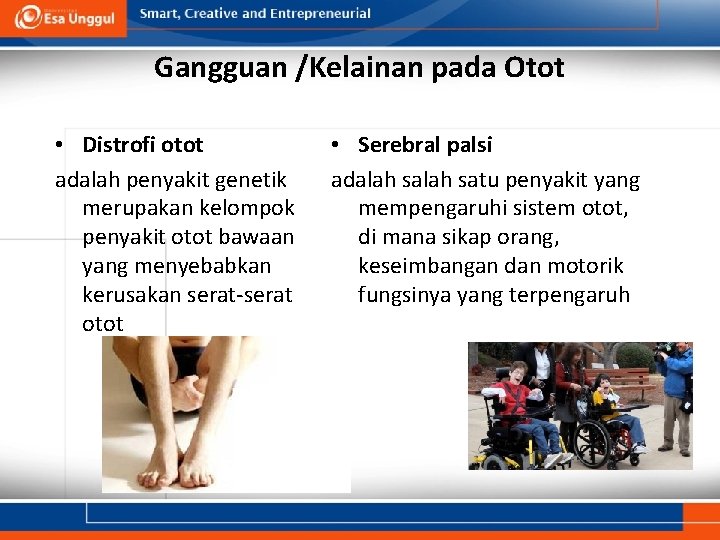 Gangguan /Kelainan pada Otot • Distrofi otot adalah penyakit genetik merupakan kelompok penyakit otot