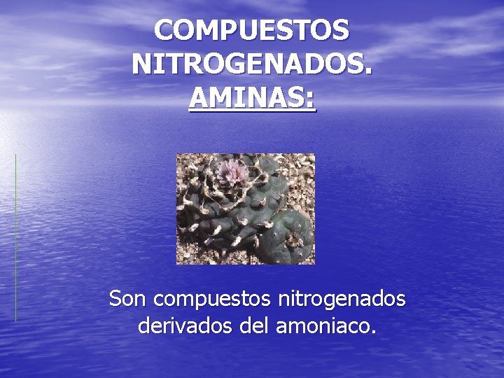 COMPUESTOS NITROGENADOS. AMINAS: Son compuestos nitrogenados derivados del amoniaco. 