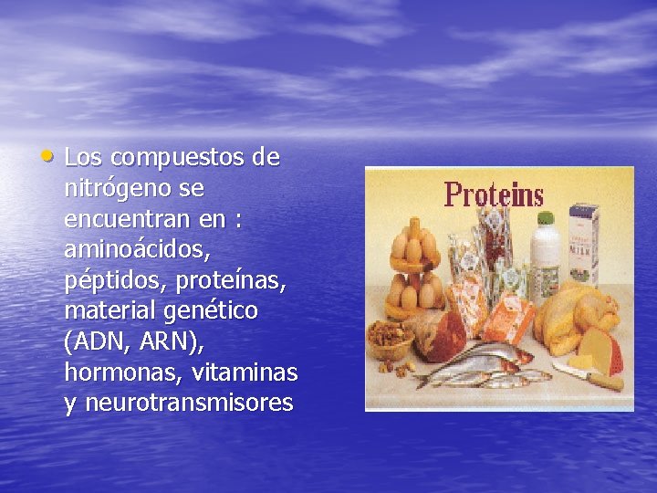  • Los compuestos de nitrógeno se encuentran en : aminoácidos, péptidos, proteínas, material