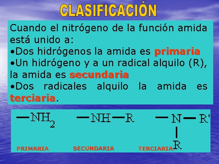 Cuando el nitrógeno de la función amida está unido a: • Dos hidrógenos la