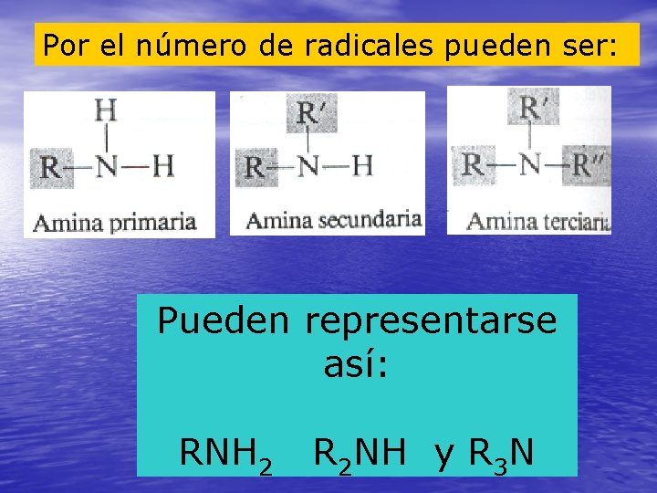 Por el número de radicales pueden ser: Pueden representarse así: RNH 2 R 2