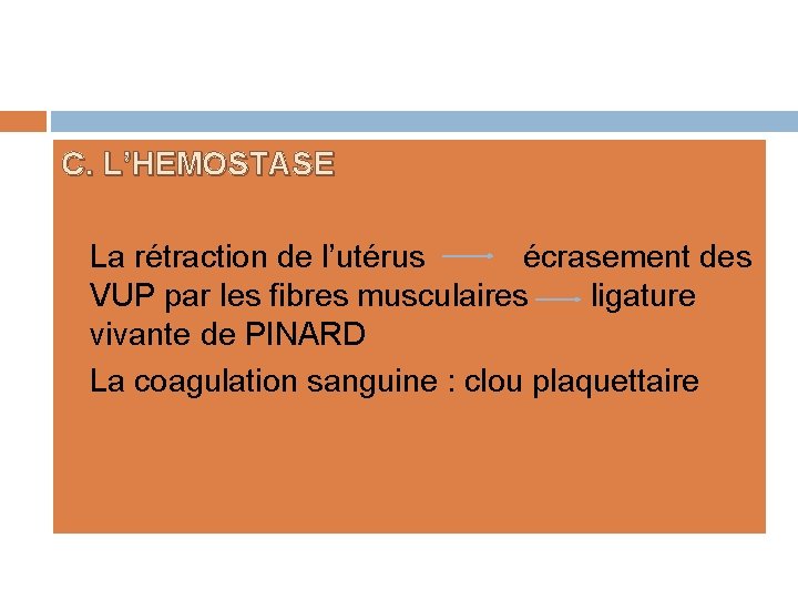 C. L’HEMOSTASE • • La rétraction de l’utérus écrasement des VUP par les fibres