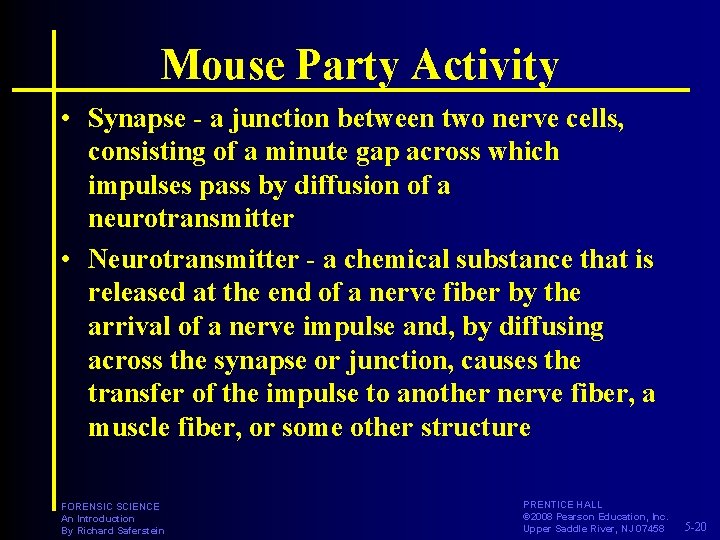 Mouse Party Activity • Synapse - a junction between two nerve cells, consisting of