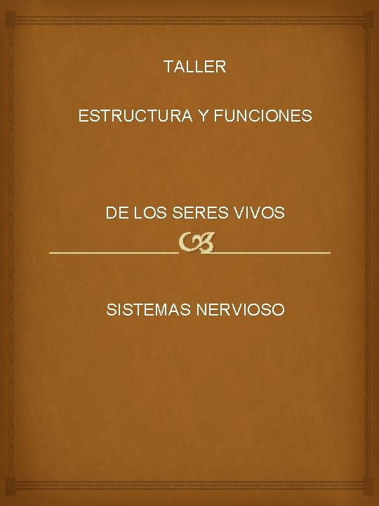 TALLER ESTRUCTURA Y FUNCIONES DE LOS SERES VIVOS SISTEMAS NERVIOSO TALLER ESTRUCTURA Y FUNCIONES DE LOS SERES VIVOS SISTEMAS NERVIOSO