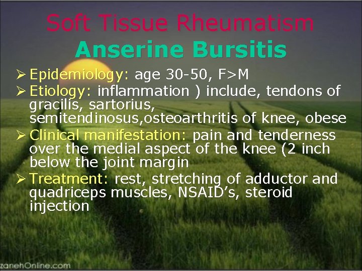 Soft Tissue Rheumatism Anserine Bursitis Ø Epidemiology: age 30 -50, F>M Ø Etiology: inflammation