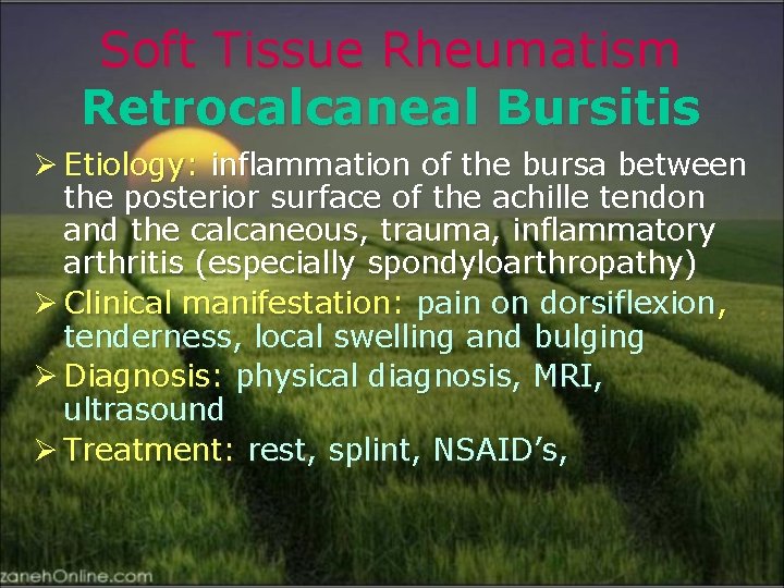 Soft Tissue Rheumatism Retrocalcaneal Bursitis Ø Etiology: inflammation of the bursa between the posterior