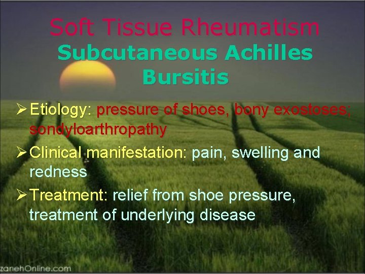 Soft Tissue Rheumatism Subcutaneous Achilles Bursitis Ø Etiology: pressure of shoes, bony exostoses; sondyloarthropathy