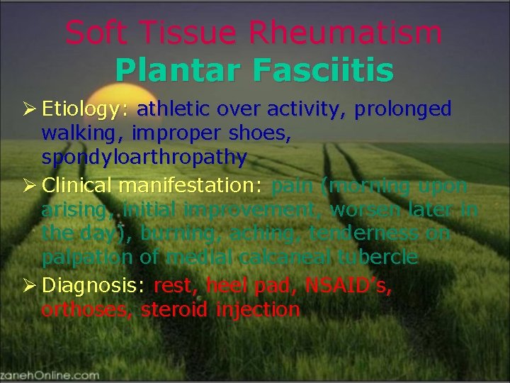 Soft Tissue Rheumatism Plantar Fasciitis Ø Etiology: athletic over activity, prolonged walking, improper shoes,