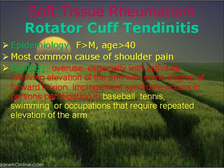 Soft Tissue Rheumatism Rotator Cuff Tendinitis Ø Epidemiology: F>M, age>40 Ø Most common cause