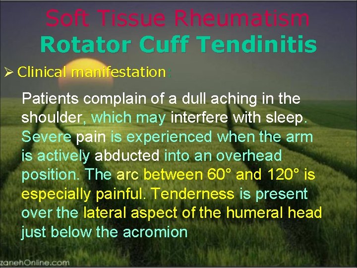 Soft Tissue Rheumatism Rotator Cuff Tendinitis Ø Clinical manifestation: Patients complain of a dull